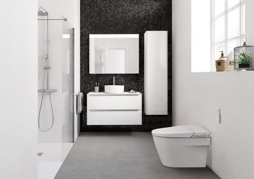 卫浴洁具新潮流 实用性与美学的完美融合,塑造现代卫浴空间